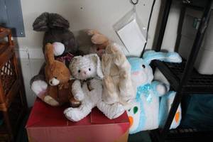 lot 684 image: Collection of Plush Stuffed Bunnies and Bears