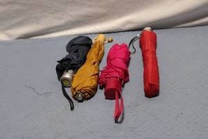lot 294 image: Collection of 4 Compact Folding Umbrellas - Samsonite and Totes Brands