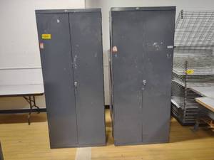 lot 269 image: (2) Two Door Cabinets, 36x13x85...