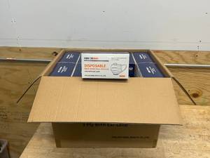 lot 163 image: Case 40 Boxes of Disposable Face Masks (50 masks per box)