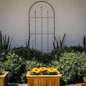 lot 9 image: Metal Trellis - Vigoro 80 in. H Wisteria Black Metal Trellis