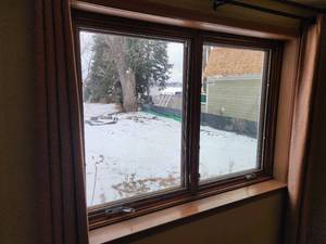 lot 19 image: Pella Living Room Window with Trim 71x50