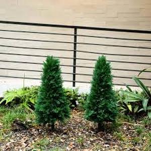 Nearly Natural 3ft. UV Resistant Artificial Cedar Plant with Integrated Ground Stake (IndoorOutdoor) - Set of 2   Customer Returns See Pictures