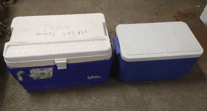 (2) Coolers - Igloo & Coleman