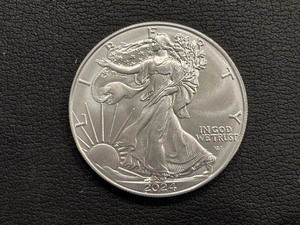 2024 Silver Eagle
