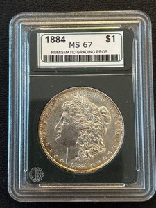 1884 Morgan Dollar NGP MS67