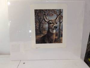 lot 70 image: James Meger Limited Ed. Whitetail Deer Print