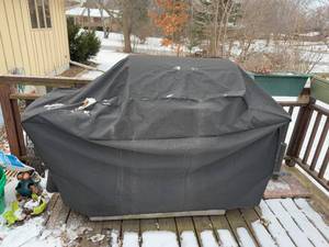 lot 413 image: Used Kirkland Signature Outdoor Stainless Steel Gas Grill w Cover