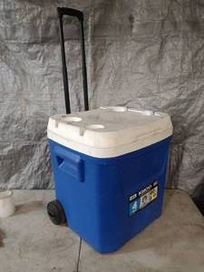 lot 29 image: Igloo 4day Cooler