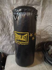 lot 87 image: Everlast 40lb Punching Bag