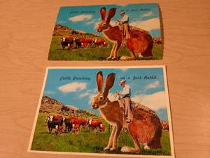 lot 330 image: VINTAGE POSTCARDS