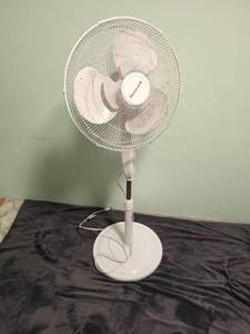 Assorted Collection of 5 Floor and Box Fans
