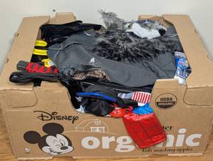 Box of Mixed Costumes - Mixed Styles and Sizes - Spiderman to Princess to Sonic - Range 6-9 Costumes a Box