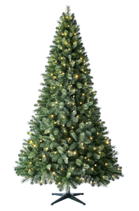 lot 622 image: Evergreen Classics Pre-Lit 7.5 Benton Pine Artificial Christmas Tree, Color-Changing LED Lights