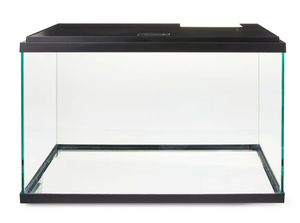 lot 638 image: Aqua Culture 10-Gallon Glass Aquarium Starter Kit