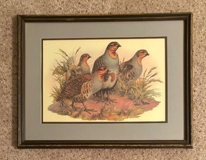 lot 75 image: Hungarian Partridges Print by Jaques Cartier