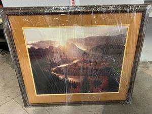 Framed Painting