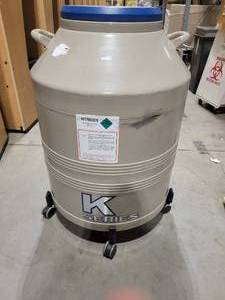 lot 35 image: Rolling Nitrogen Tank (536219) K Series Model