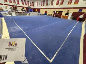 lot 1 image: Floor Exercise