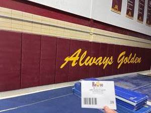 lot 28 image: Maroon Wall Pads