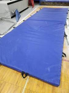 lot 67 image: NEW ITEM ADDED Large Floor Mat