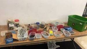lot 169 image: Extensive Collection of Various Nails, Bolts, and Hardware Fasteners