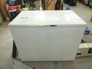 lot 599A image: Coranado Freezer