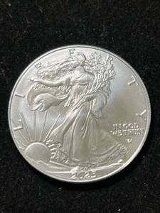 lot 01 image: 2025 AMERICAN SILVER EAGLE 1 TROY OZ .999 FINE SILVER
