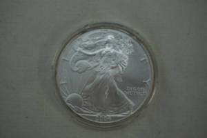 lot 189 image: 2004 American Silver Eagle Coin
