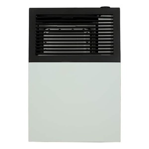 lot 247 image: Ashley Hearth Products Ashley Direct Vent Natural Gas Wall Heater 8,000 BTU