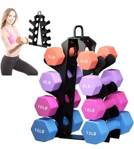 lot 274 image: Brand New A-Frame Dumbbell Rack Stand B
