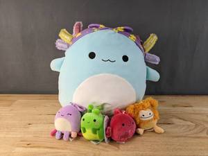lot 29F image: New Collection of Squishmallows Irina, Beula, Barella, Trenton and Shasta N