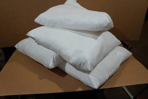 4 Throw Pillow Inserts