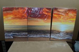 Canvass 3-Piece Wall Art 16x24