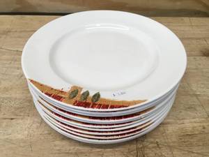 Lot of 11- Dinner Plates Size 10-12