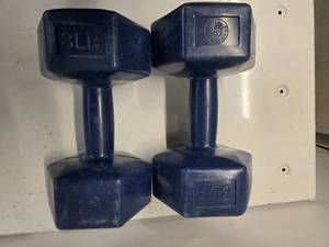 lot 26 image: Lot of a pair of 8LB Plastic Dumbbells (Used, Good)