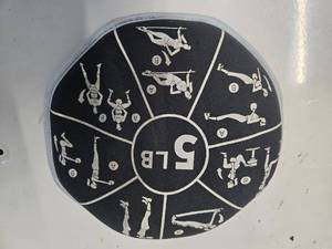 lot 29 image: Lot of 5LB Therapy Weight (Used, Good Condition)
