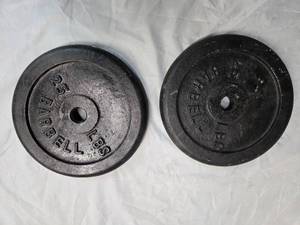 lot 41 image: Lot of a pair of One-inch 25LB Plates( Used)