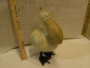 Pelican