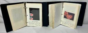 lot 299 image: Two Albums with Postage Stamps from Great Britain