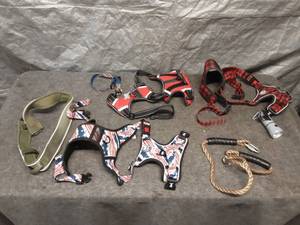 lot 62 image: Collection of Dog Harnesses and Leashes