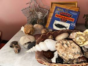 lot 128 image: Fossil & Shell Collection with Kit