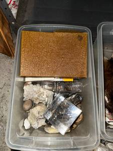 lot 301 image: Geological and Natural Specimen Lot