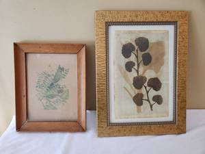 lot 275 image: Framed Botanical & Bird Prints