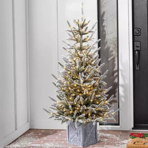 lot 692 image: Members Mark 4.5 Snowy Georgia 300 Warm White LED Pre-Lit Topiary