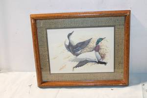 lot 406 image: Framed Duck Wildlife Print with Wooden Frame