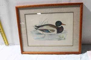 lot 408 image: Framed Duck Print by Twin City Picture Framing Co.