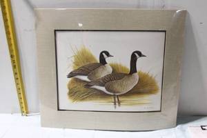 lot 423 image: Canada Geese Art Print by John W. Taylor with Frame