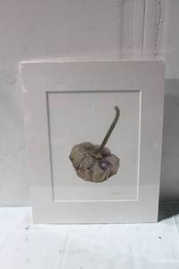 lot 426 image: Diane Pearson Gourd Giclee Print 11x14