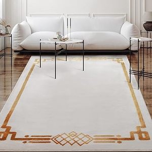 lot R-176 image: Antep Rugs Babil Gold 8x10 Modern Bordered Indoor Area Rug, Beige, 710 x 10